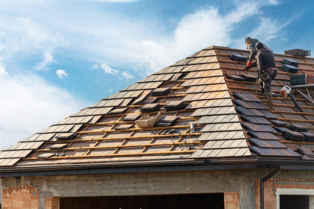 Best Skylight Installation and Repair  in Chatsworth, IL
